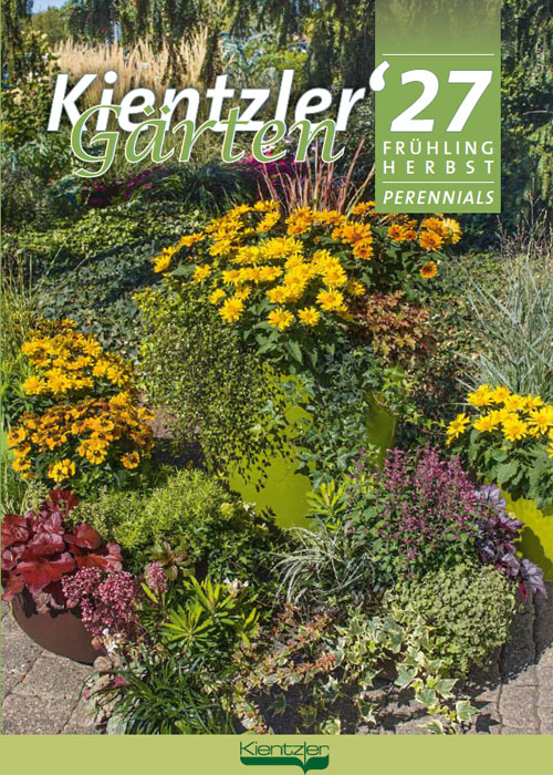 Kientzler Jungpflanzen Katalog 2027