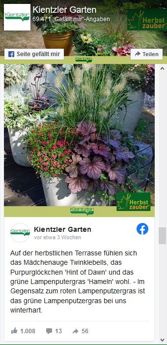 Herbstzauber bei Facebook