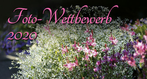 Zauberschnee Foto-Wettbewerb 2020 Zauberschnee Foto-Wettbewerb 2020