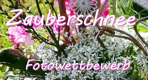 Zauberschnee Fotowettbewerb Zauberschnee Fotowettbewerb
