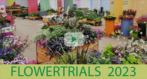 Kientzler auf den Flowertrials 2023 Kientzler auf den Flowertrials 2023