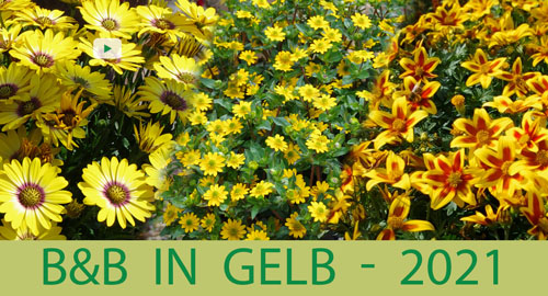 B&B-Neuheiten in Gelb B&B-Neuheiten in Gelb