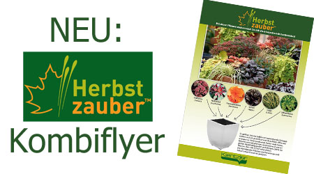 Kientzler Kombiflyer Herbstzauber Kientzler Kombiflyer Herbstzauber