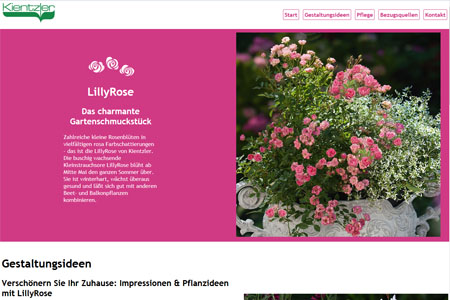 LillyRose online LillyRose online